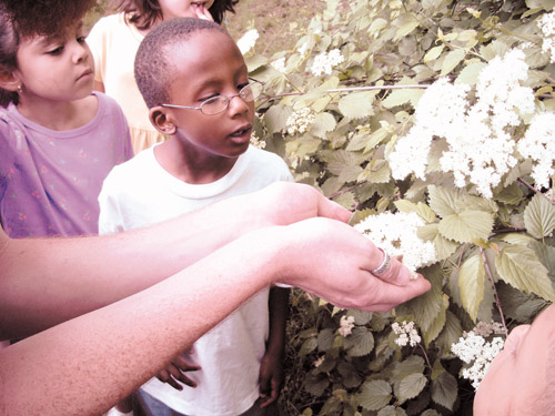 Newark summer camps